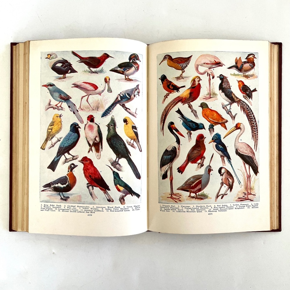 VTG The Book of Knowledge Vol. 12